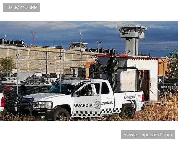 光头兄弟在监狱激战打斗生死较量全新生存冒险挑战游戏